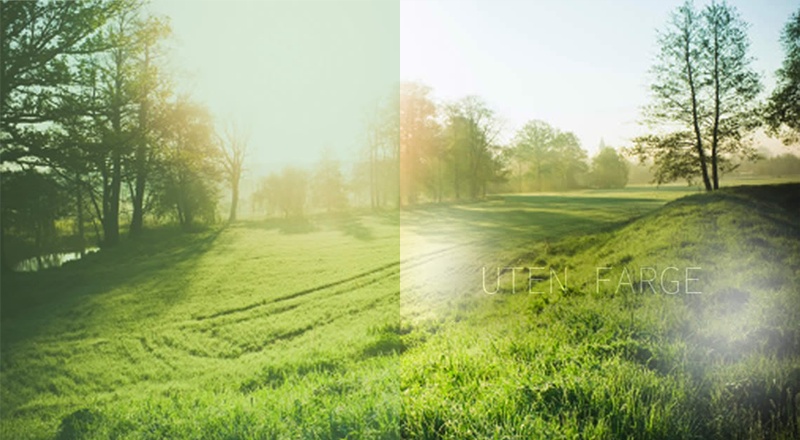 Thin and light lenses