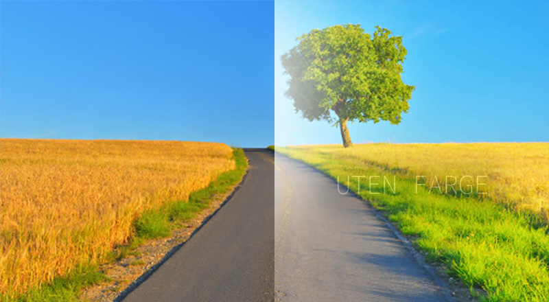 Thin and light lenses